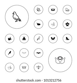 Editable vector wing icons: sparrow, fly, luggage compartment in airplane, devil heart with wings, chicken, dove, butterfly, wings, bee, plane, bird on white background.