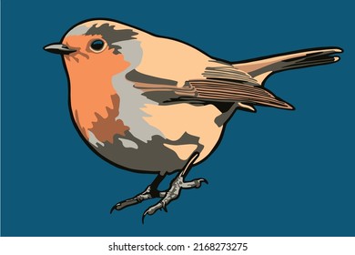 Editable vectorial redbreast bird (Robin) illustration.