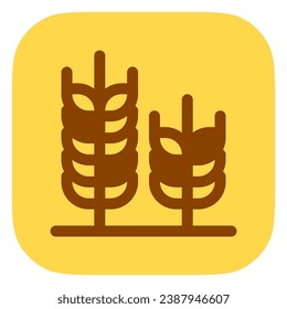 Editable wheat vector icon. Food, farm, staple, plant, field. Part of a big icon set family. Perfect for web and app interfaces, presentations, infographics, etc