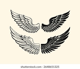 editable wings vector, wings angle, black and white, hawk wings, eagle wings, bird, feather, isolated background, wing set for t-shirt elements, coloring page vector