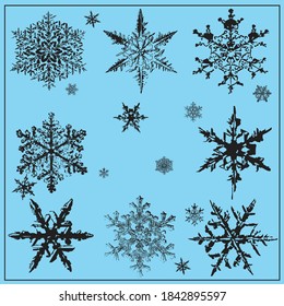 Editable winter snowflakes illustration vectors 
