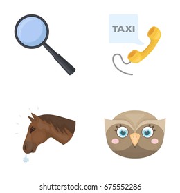 education, animal and other web icon in cartoon style.taxi, bird icons in set collection.