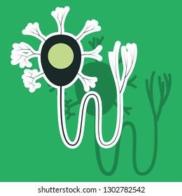 Education Chart of Biology for Nerve Cell Diagram. Sticker illustration
