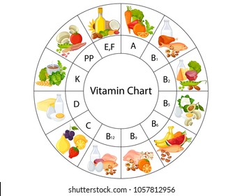 Education Chart of Biology for Vitamin Food Chart Diagram. Vector illustration.