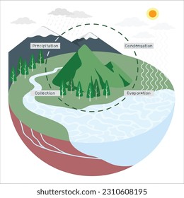 Education Chart of Biology for Water Cycle Diagram. 3d Water cycle process water evaporates to atmosphere condenses into rain in clouds and falls precipitation rain. 