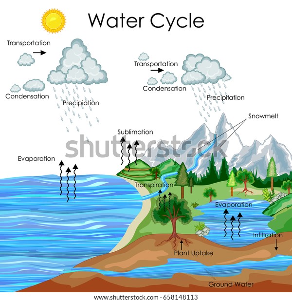 Water Chart