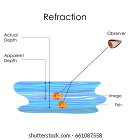 Education Chart Of Physics For Refraction Concept In Water Medium Diagram. Vector Illustration