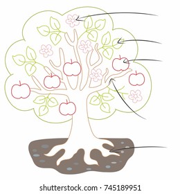 education for children, vector tree