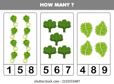 Education game for children counting how many cartoon vegetables lettuce spinach kale