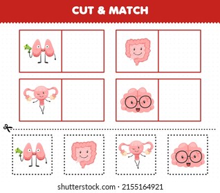 Education game for children cut and match the same picture of cute cartoon human anatomy and organ thyroid intestine uterus brain