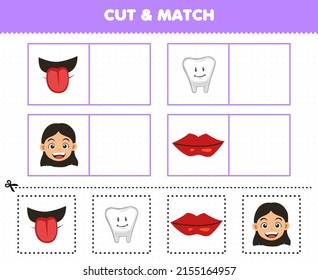Education game for children cut and match the same picture of cute cartoon human anatomy and organ tongue tooth girl head lip