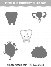 Education game for children find the correct shadow set of cute cartoon human organ tooth