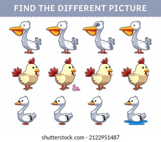 Education game for children find the different picture in each row cute cartoon pelican chicken swan