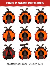 Education game for children find two same pictures cute ladybug