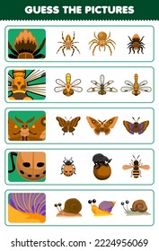 Education game for children guess the correct pictures of cute cartoon spider dragonfly butterfly ladybug snail printable bug worksheet