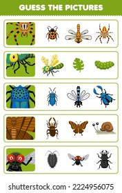 Education game for children guess the correct pictures of cute cartoon spider dragonfly beetle butterfly fly printable bug worksheet