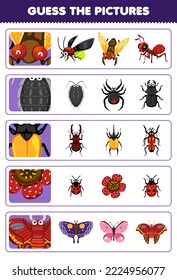 Education game for children guess the correct pictures of cute cartoon cicada louse beetle flower moth printable bug worksheet