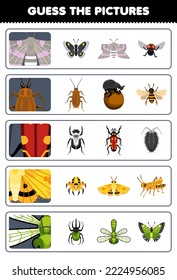 Education game for children guess the correct pictures of cute cartoon moth cockroach beetle dragonfly printable bug worksheet