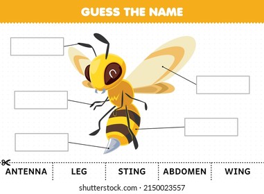 Education Game For Children Guess The Name Of Cute Cartoon Bee Body Part Worksheet