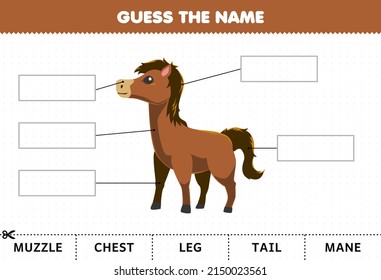 Education game for children guess the name of cute cartoon horse body part worksheet