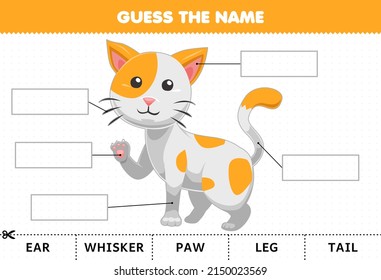 Education game for children guess the name of cute cartoon cat body part worksheet