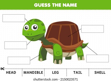 Education game for children guess the name of cute cartoon turtle body part worksheet