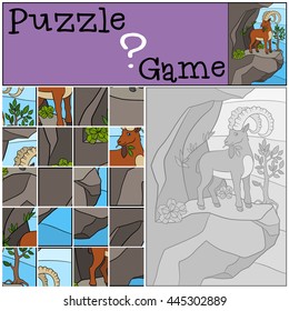 Education game: Puzzle. Cute ibex with great horns stands on the rock and eat leaves.