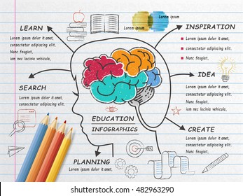 Education infographic design, human brain doodles on notepaper, realistic colored pencils on it