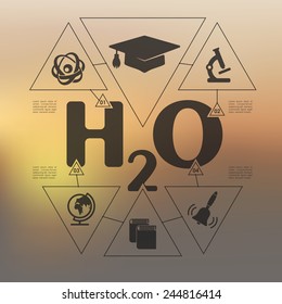 education infographic with unfocused background