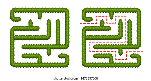 Education logic game bush labyrinth for kids. Find right way. Isolated simple square maze on white background. With the solution. Vector illustration. 