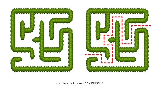 Education logic game bush labyrinth for kids. Find right way. Isolated simple square maze on white background. With the solution. Vector illustration. 