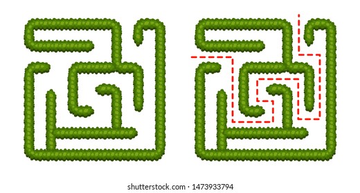Education logic game bush labyrinth for kids. Find right way. Isolated simple square maze on white background. With the solution. Vector illustration. 