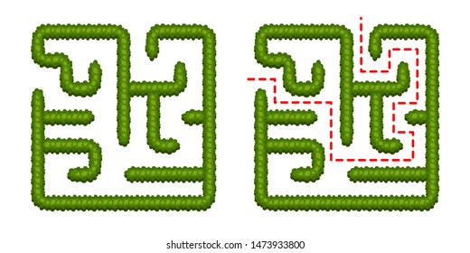 Education logic game bush labyrinth for kids. Find right way. Isolated simple square maze on white background. With the solution. Vector illustration. 