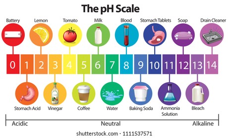 Ph Scale Chart With Examples
