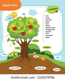 education vocabulary apple tree vector illustration