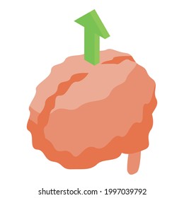 Education workflow brainstorming icon. Isometric of Education workflow brainstorming vector icon for web design isolated on white background