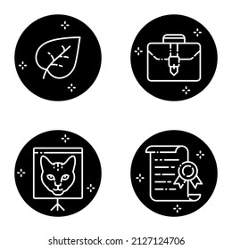 Education_glyph Flat Icon Set Isolated On White Background