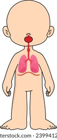 educational anatomy body kid respiratory systen