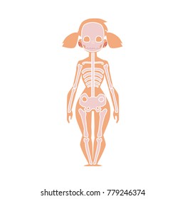 Educational anatomy chart infographics of human skeleton, female body, cartoon vector illustration isolated on white background. Human skeleton, anatomy chart for kids with female body