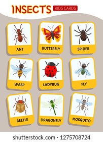 Educational cards for children insects. Vector illustration of cute insects.
