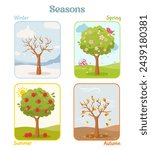 Educational cards with four seasons of the year for learning seasons theme for kids.