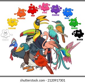 Educational cartoon illustration of basic colors with colorful birds animal characters group