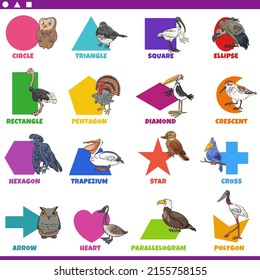 Educational cartoon illustration of basic geometric shapes with captions and birds animal characters for preschool and elementary age children
