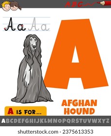 Educational cartoon illustration of letter A from alphabet with afghan hound dog animal character