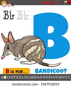 Educational cartoon illustration of letter B from alphabet with bandicoot animal character
