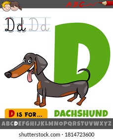 Educational Cartoon Illustration of Letter D from Alphabet with Comic Dachshund Dog for Children 