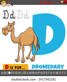 Educational cartoon illustration of letter D from alphabet with dromedary animal character for children 