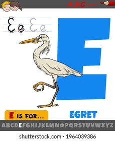 Educational cartoon illustration of letter E from alphabet with egret bird animal character