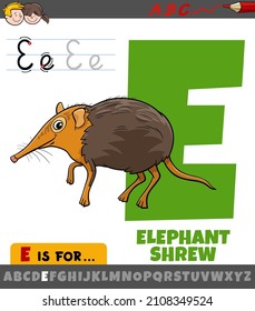 Educational cartoon illustration of letter E from alphabet with elephant shrew animal character