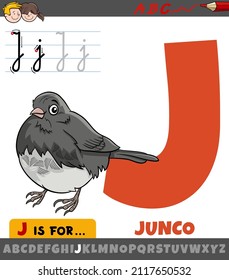 Educational cartoon illustration of letter J from alphabet with junco bird animal character